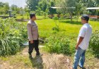 Kolaborasi-Polisi-dan-Pemerintah-Desa-Wujudkan-Ketahanan-Pangan-Bergizi-di-Kludan-Tanggulangin