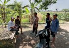 Polisi-Cinta-Petani,-Bhabinkamtibmas-Kedungsukodani-Polsek-Balongbendo-Ngobrol-Gayeng-Ketahanan-Pangan