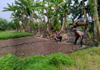 Polri-Gandeng-Petani-Dongkrak-Ketahanan-Pangan