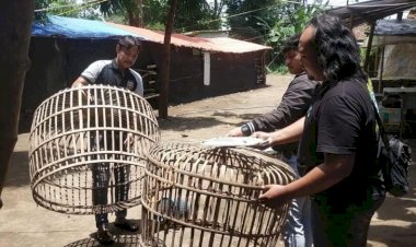Komitmen-Berantas-Perjudian,-Polres-Nganjuk-Bongkar-Arena-Sabung-Ayam