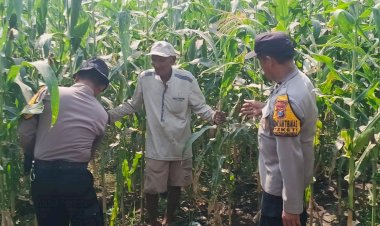 Polsek-Balongbendo-Dampingi-Petani,-Wujud-Nyata-Dukungan-Ketahanan-Pangan