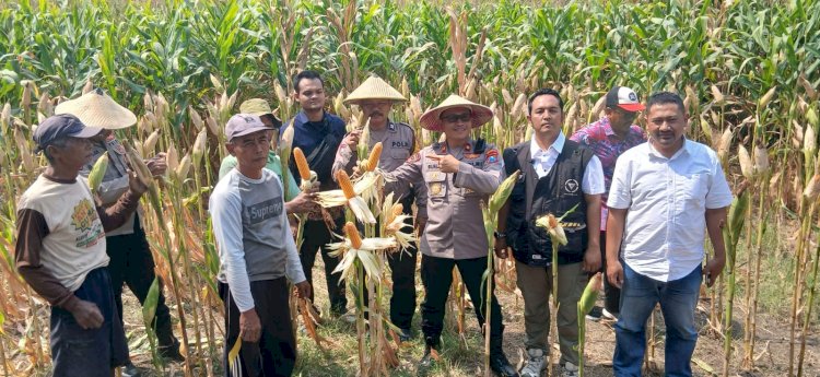 Polisi, Perangkat Desa dan Petani Kompak Sukseskan Ketahanan Pangan di Balongbendo
